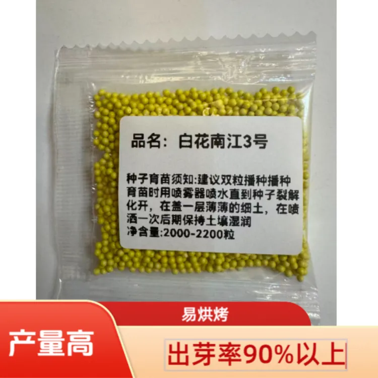 白花南江三号产量500斤高抗病强饵料全国通用适合海拔2400以下
