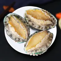 【海赋】鲜冻鲍鱼500g（10-12头/斤）*2袋