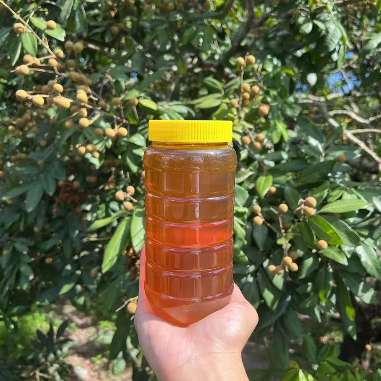 蜂蜜纯正深山荔枝蜜龙眼蜜2025年成熟土蜂蜜2斤装正宗农家土蜂蜜