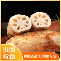 【秀兰鲜季】湖北洪湖粉藕当季现挖带泥发货净重五斤（顺丰快递）