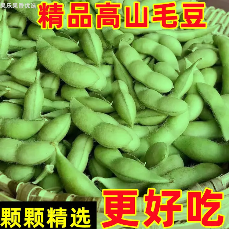 新鲜毛豆带壳现摘农家批发自种鲜嫩摘现整箱当季蔬菜发货毛豆新鲜