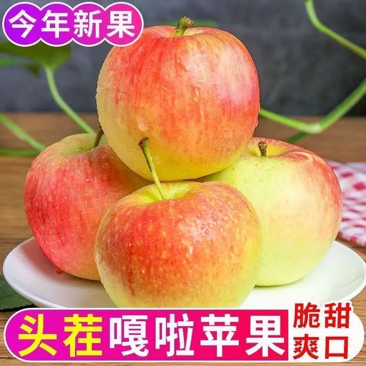 【25年苹果】新鲜苹果嘎拉苹果5斤酸甜爽口应季水果孕妇水果