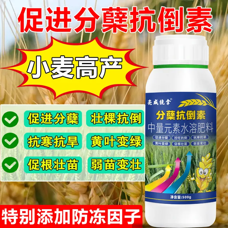 小麦高产分蘖抗倒素壮苗促根抗寒抗旱黄叶变绿分蘖增产正品肥料