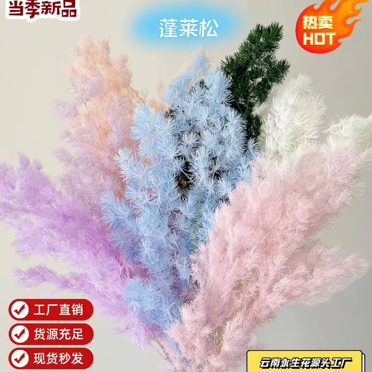 永生蓬莱松花材手工插花婚礼保鲜适用