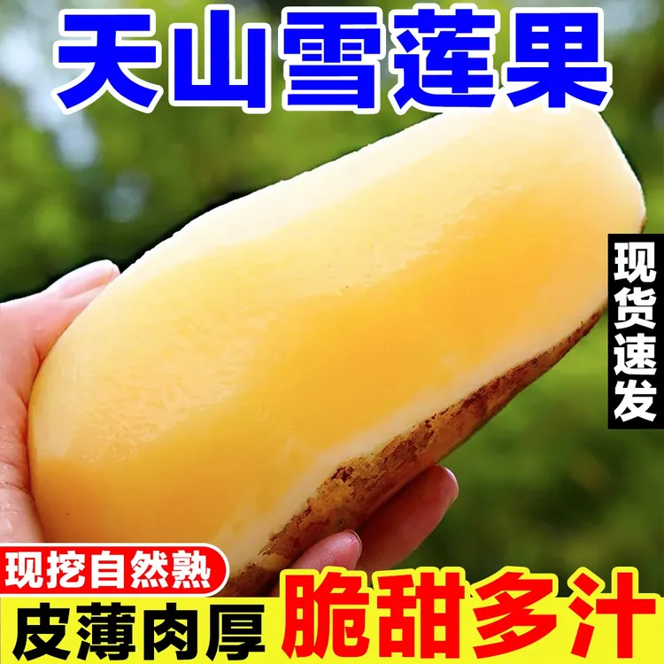 正宗云南天山雪莲果新鲜水果当季低糖黄心红心特级大果脆甜一整箱