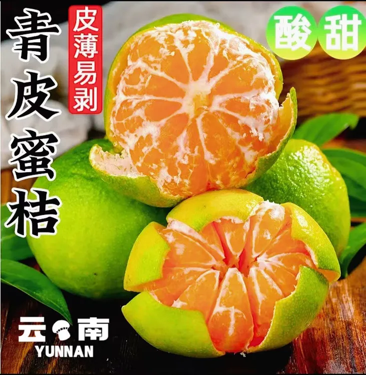 云南高原青皮无籽蜜桔酸甜桔子现摘应季孕妈新鲜水果皮薄汁多橘子