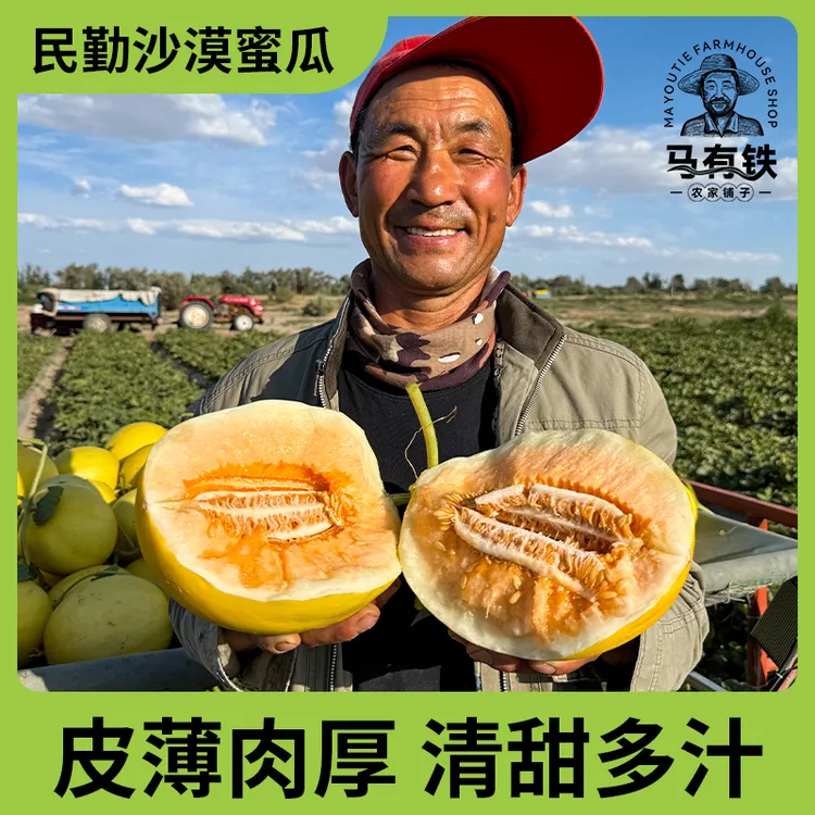【顺丰京东】甘肃民勤蜜瓜金红宝蜜瓜4-9斤装香甜多汁