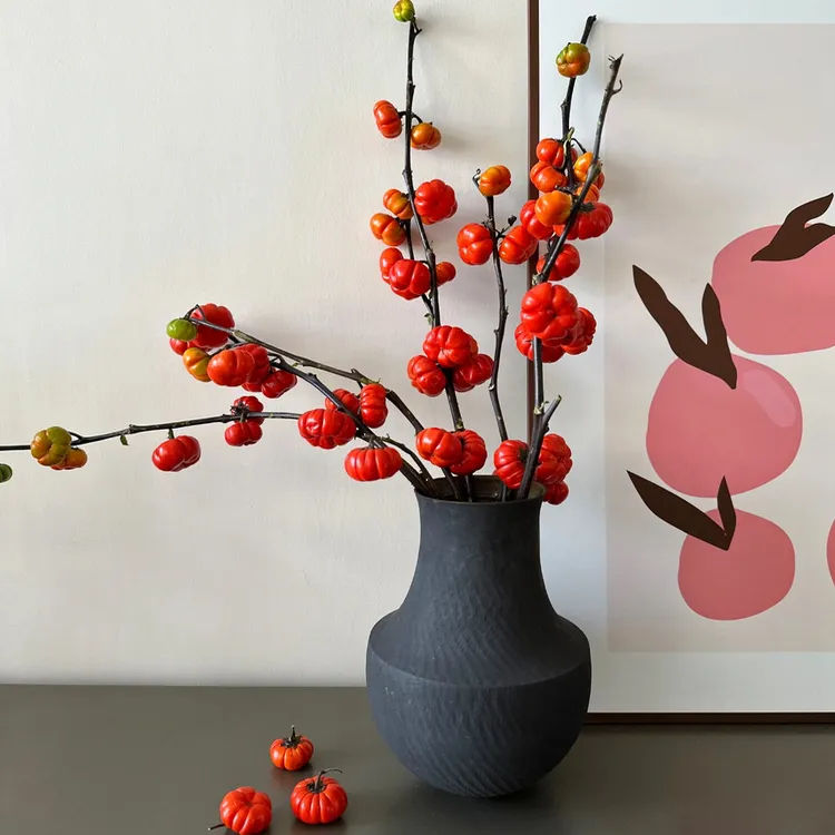 [万事不南]小南瓜鲜切枝观赏云南直发真花插花水培鲜切花南瓜花束