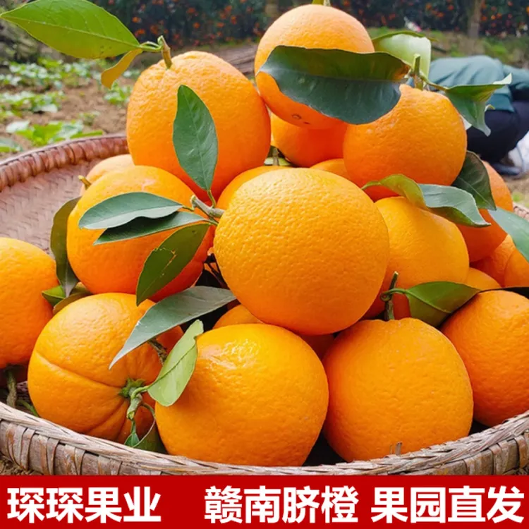 爆汁 特级10斤装包箱正宗赣南脐橙当季水果 产地直发特好吃新鲜橙