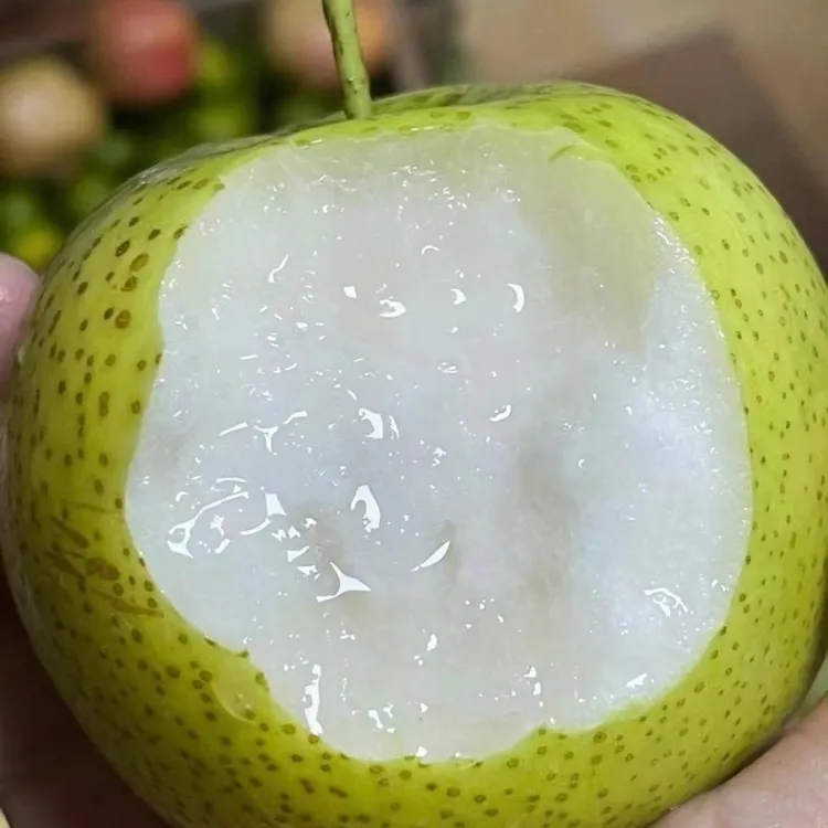 梨子头茬皇冠梨新鲜梨子当季现摘新鲜水果脆甜皮薄多汁整箱皇冠梨