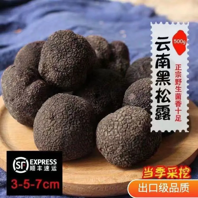 云南新鲜野生黑松露营养煲汤高端食材茶白色