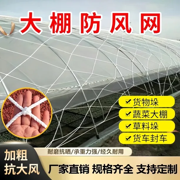 大棚防风网抗晒抗风化耐用压膜网封草垛网压膜绳爬架网爬架绳定制