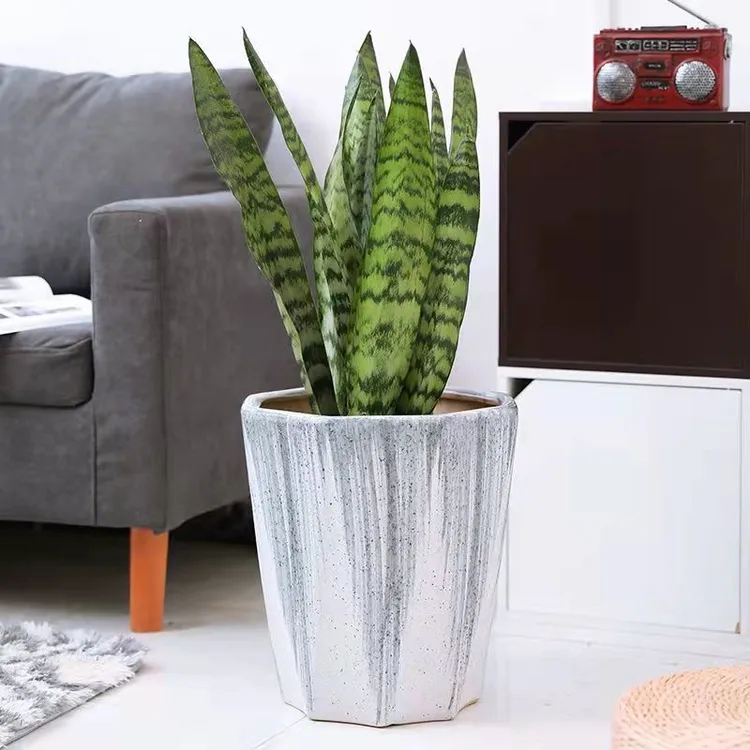 欧式简约陶瓷花盆大口径带接水盘家用园艺室内盆栽韩式粗陶绿植