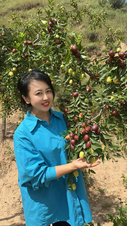 陕北清涧红枣之乡黄河畔纯天然鲜枣
