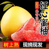 【贰佰叁专属】红心蜜柚新鲜采摘 皮薄肉多酸甜多汁当季水果红心 