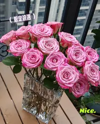【方德】经典-艾莉森20支花头小杆子细花期长满2单中通特快冷链上门