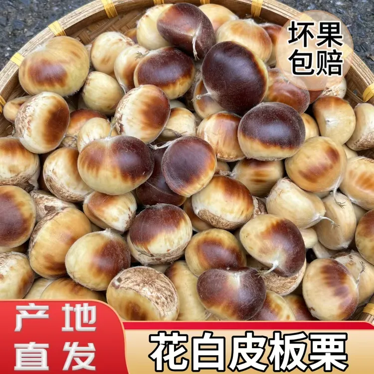 【花壳到手红】新鲜生板栗金寨板栗产地直发