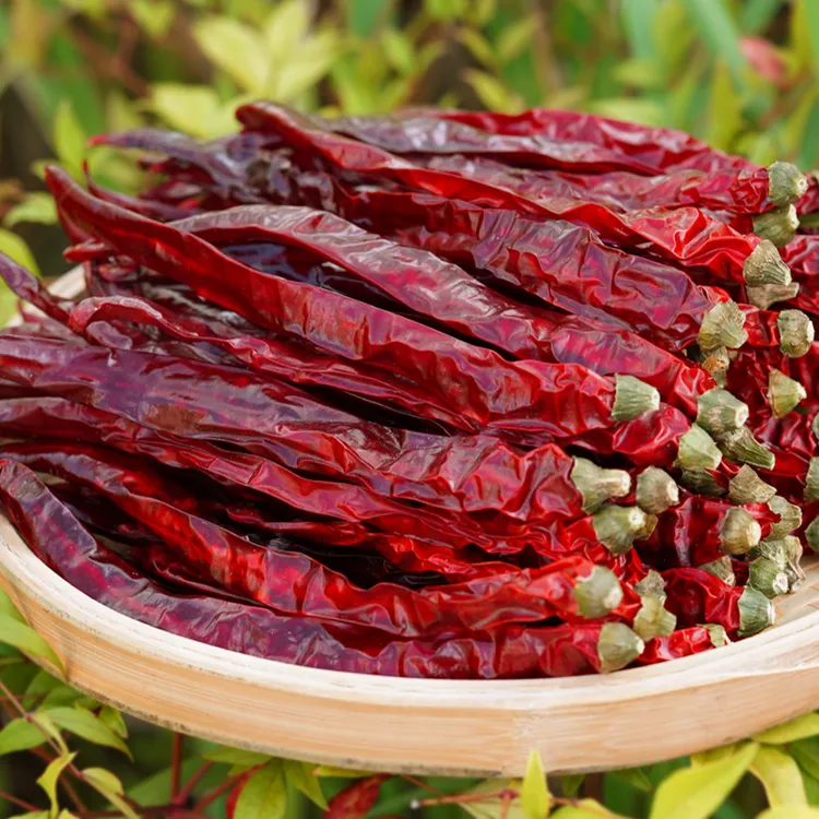 微辣特香二荆条干辣椒贵州高山头茬新货炒菜炝锅油泼辣子椒香扑鼻