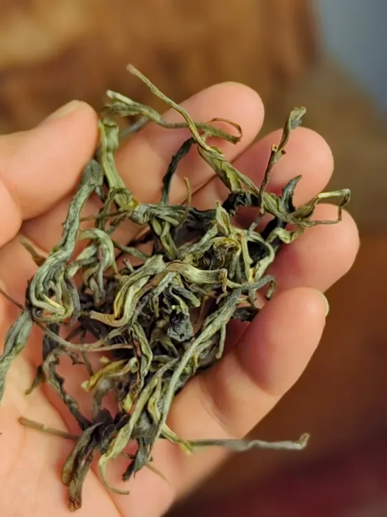 头春普洱生茶困鹿山千年古树单株4种茶样茶叶古树茶普洱茶叶