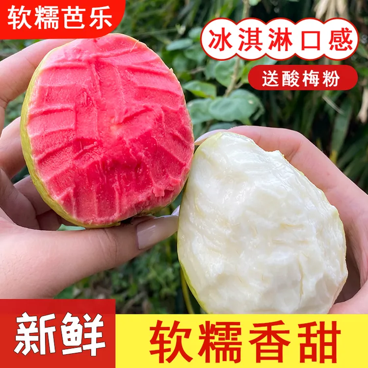 正宗广西红心芭乐白心芭乐双拼组合番石榴水果新鲜采摘产地直发商品图