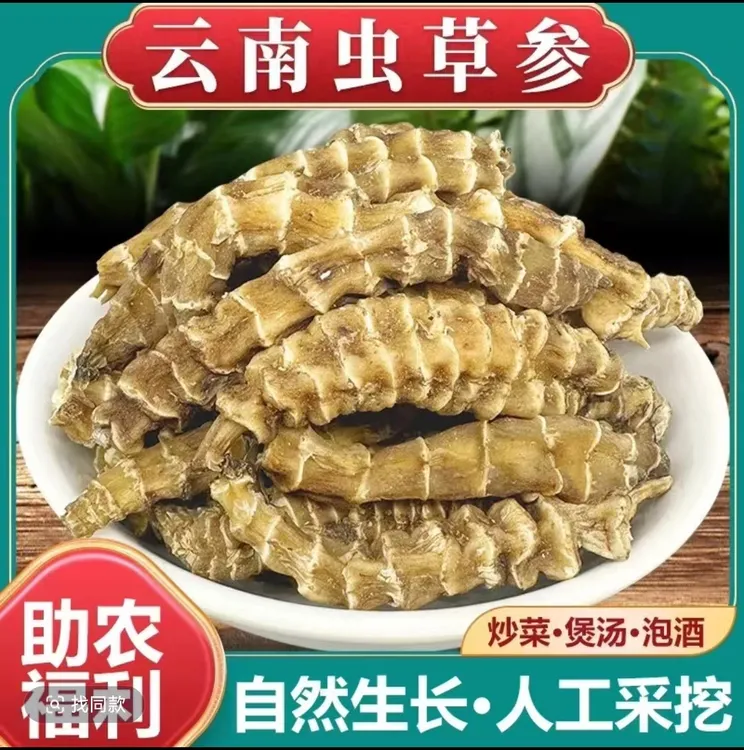 【助农山货】云南野生虫草参地参竹节参草石蚕泡酒煲汤