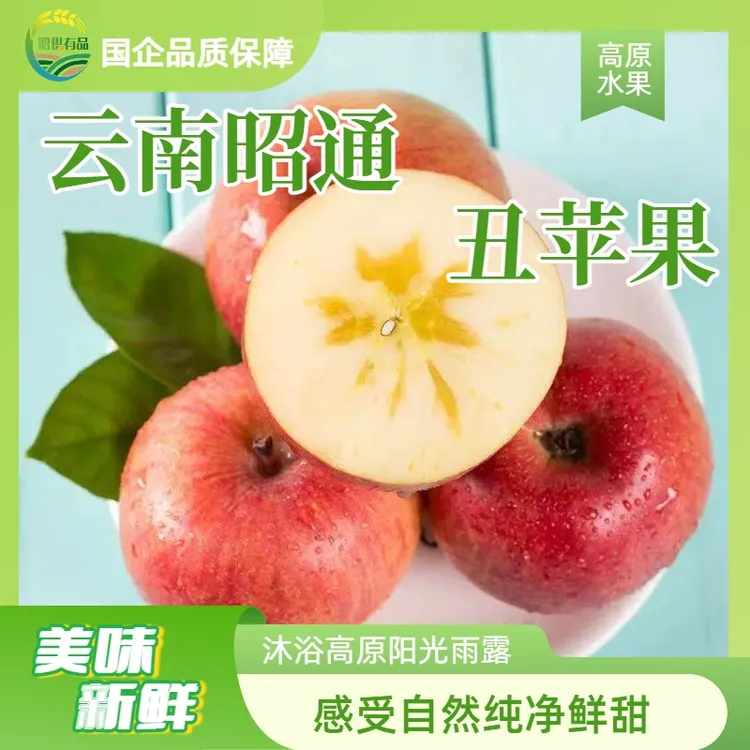 昭供有品【2025新果】产地直发丑苹果富士糖心苹果脆甜多汁现摘现发