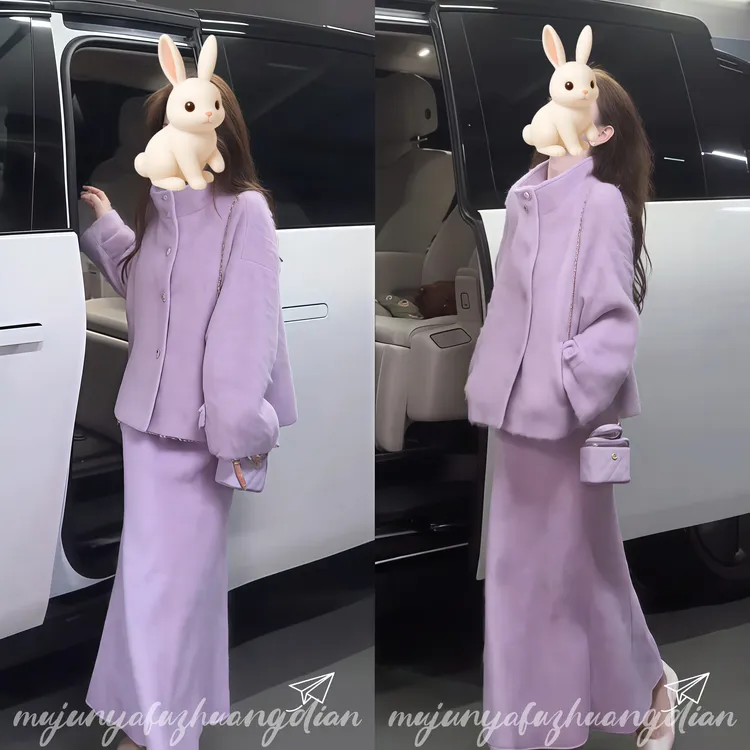 2025秋冬网红新款时尚慵懒风百搭宽松气质立领外套半身裙套装女