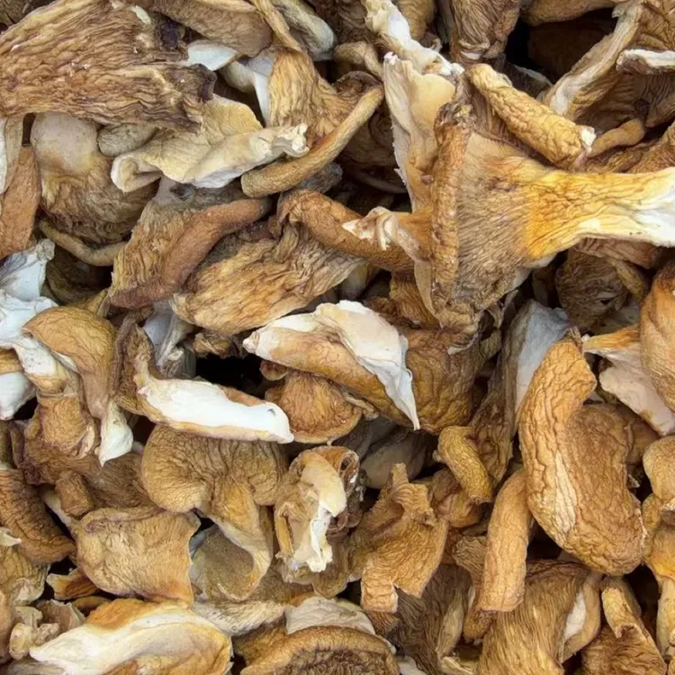 深山元蘑一斤干品