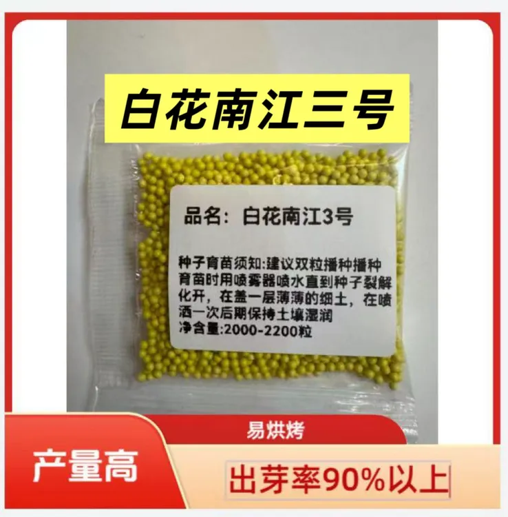 白花南江3号/全国通用，好烤，产量高，抗病好，好管理 不挂灰 