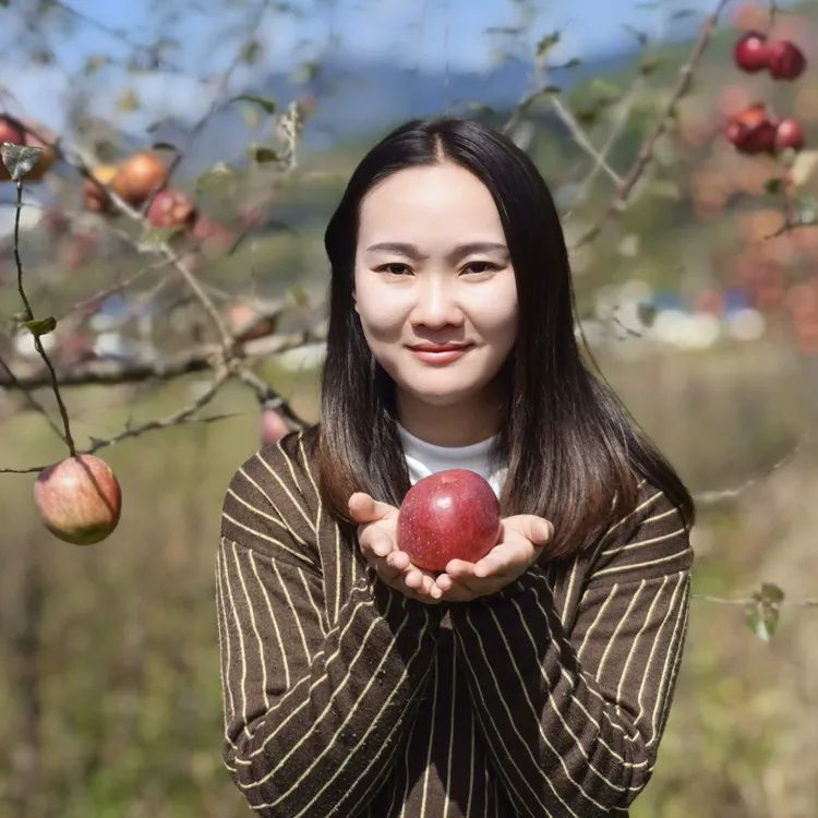 云南宁蒗高原糖心苹果泸沽湖特产原生态水果脆甜多汁