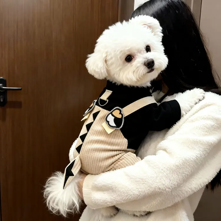 狗狗衣服宠物可牵引春秋四脚背带裤泰迪博美比熊雪纳瑞小型犬外出