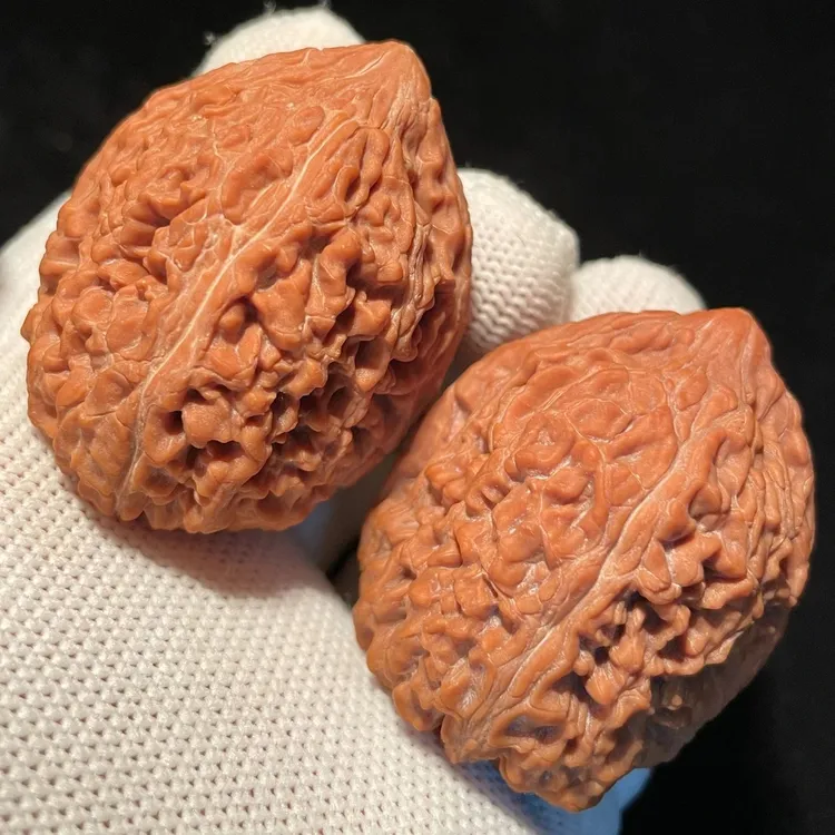 大蒜头老树红皮全品头茬随机发货