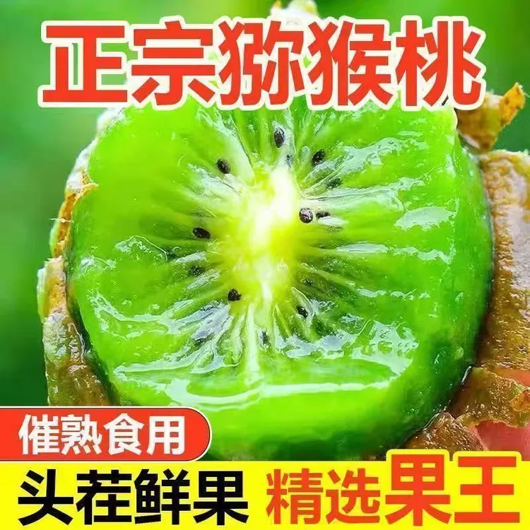 正宗绿心猕猴桃奇异果果园直发新鲜水果香甜多汁维C丰富坏过包赔