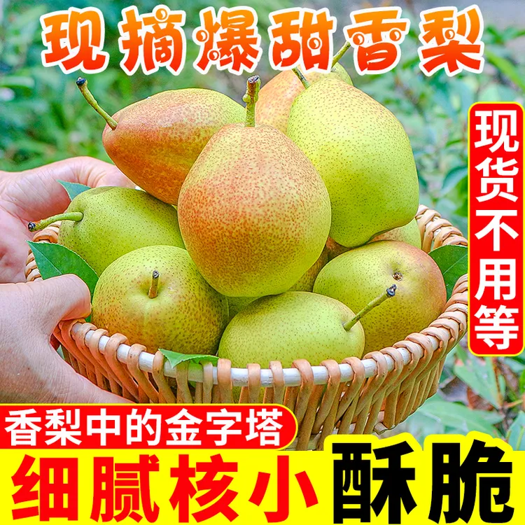 【御品一园】红香酥梨梨子新鲜水果当应季整箱香梨包邮应季