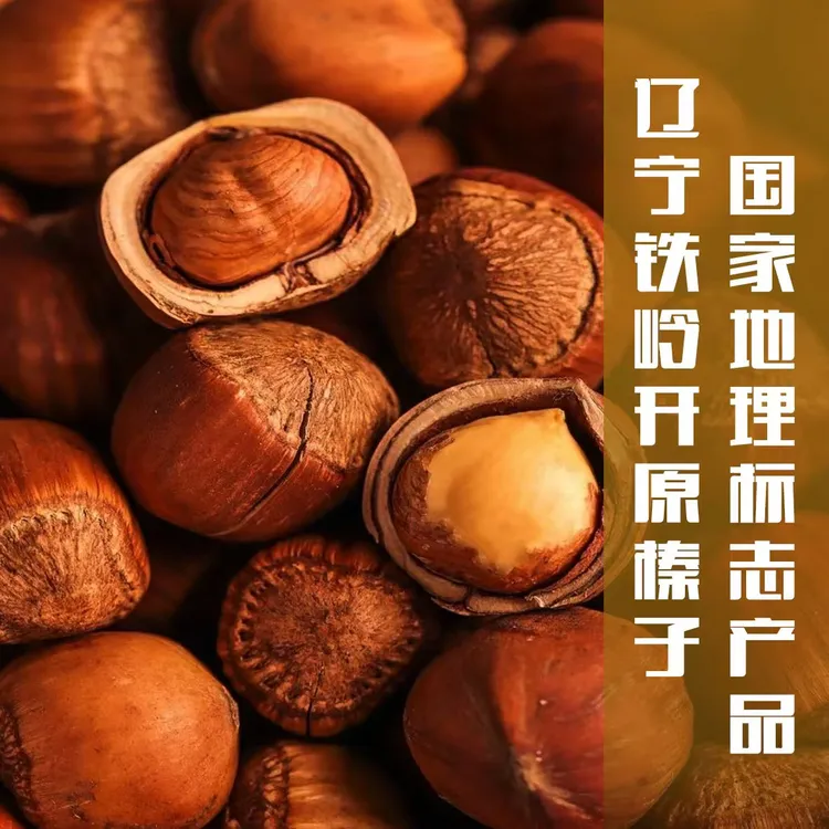 中粒25年铁岭野生手拍中粒榛子