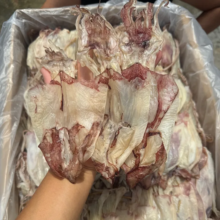 汕尾本港新鲜优质淡晒大号鱿鱼干