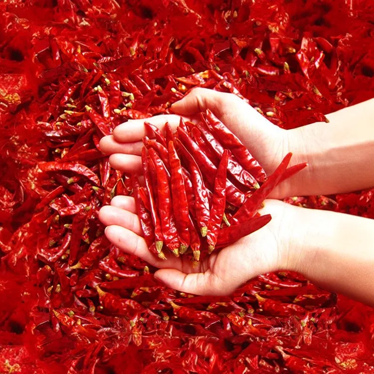 贵州遵义自然风干特辣微辣中辣干辣椒餐饮商用批发零售包邮