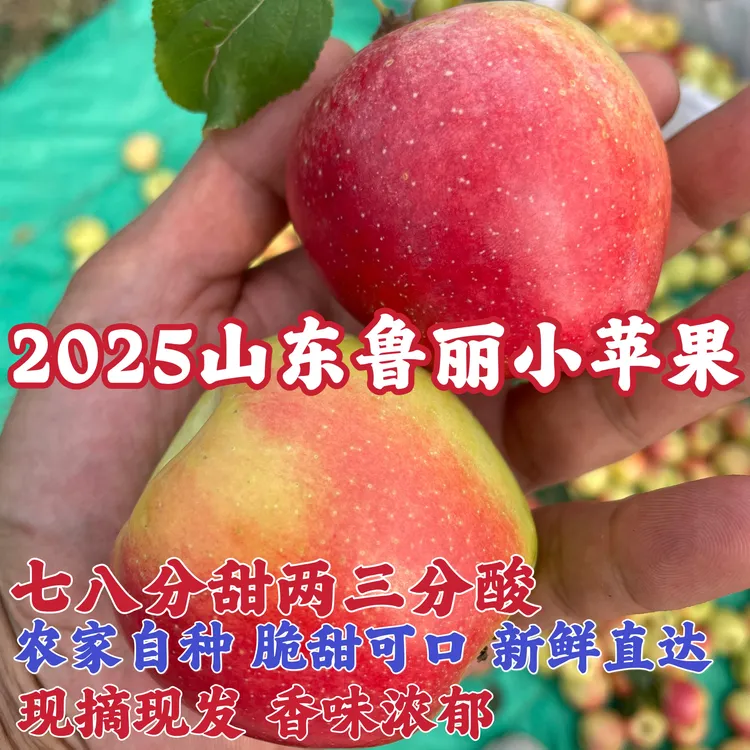 新鲜鲁丽小苹果脆甜可口当季水果包邮