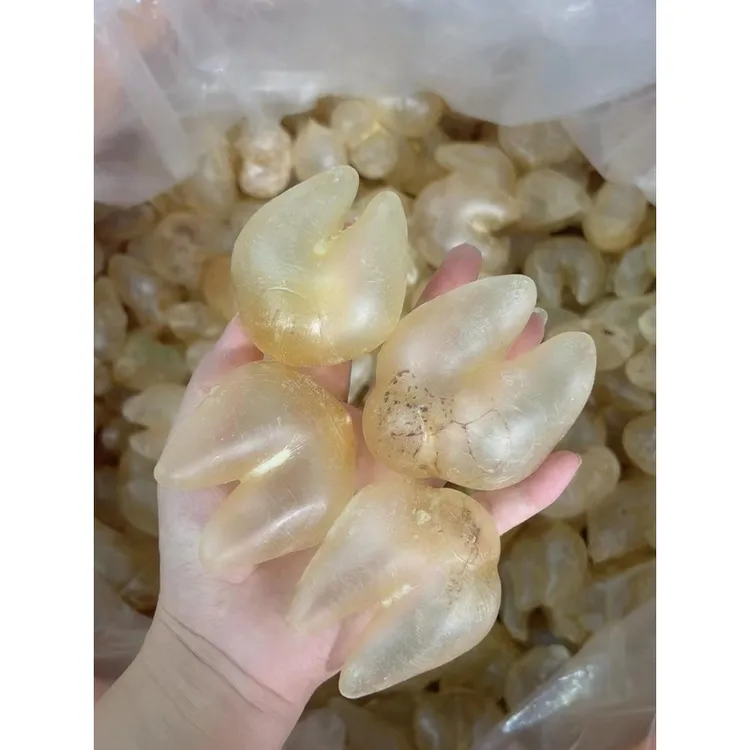 鸡泡胶鱼胶 备孕 月子 增厚内膜调理子宫生仔胶