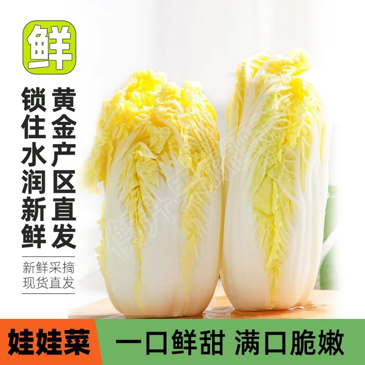 云南高原露天娃娃菜黄心菜新鲜蔬菜火锅配菜现挖现发