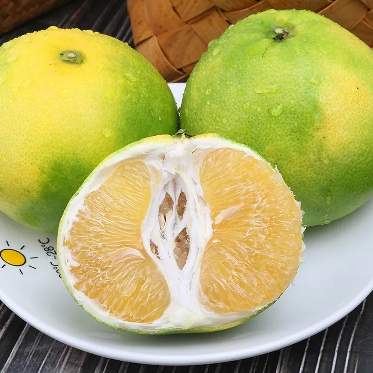 青靛（翡翠）葡萄柚