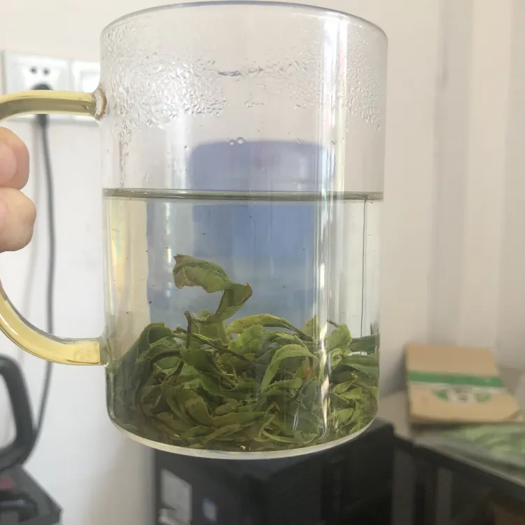 2025新茶农家精品炒青纯手工炒制绿茶口粮茶