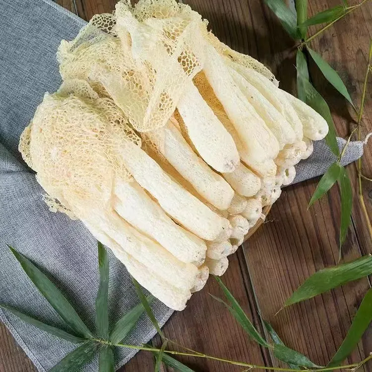 赵露思同款竹荪  新鲜干货未开裙嫩茹蕾短裙竹荪可包烫现考竹荪