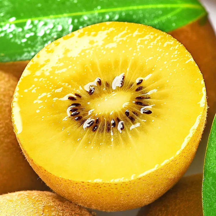 【顺丰】四川黄心猕猴桃香甜奇异果新鲜水果现摘现发坏果包赔黄金