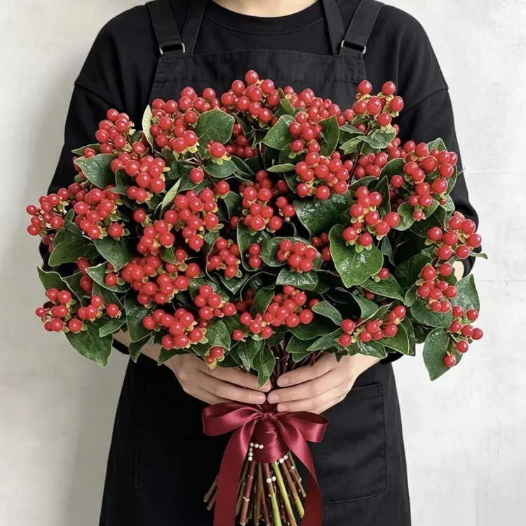 王维诗里的【相思豆】云南鲜切花火龙珠水养鲜切花插花室内装饰观赏