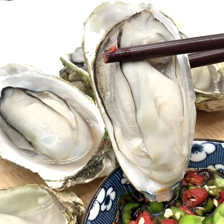 生蚝花边生蚝5斤/10斤鲜活肥美连云港发货