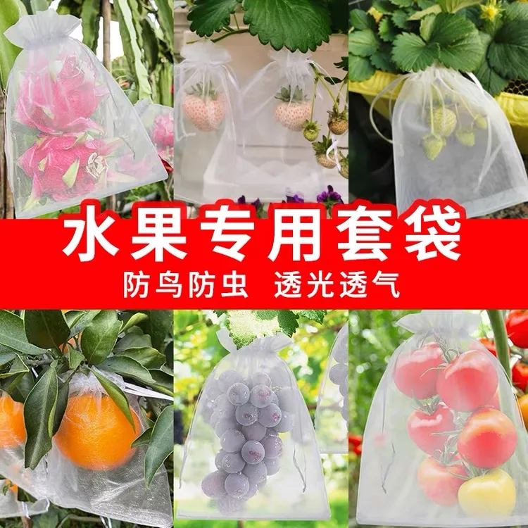 防虫透气专用袋水果蔬菜苗套袋草莓西红柿桃蓝莓通用网袋优品塑料