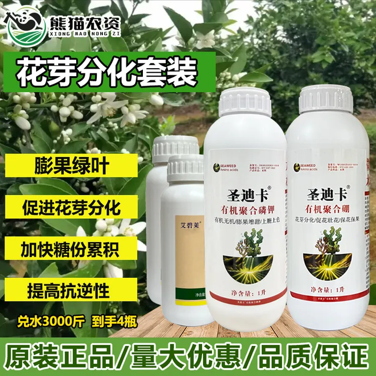圣迪卡熊猫农资柑橘花芽分化保花保果提高花质提高座果率叶面肥料
