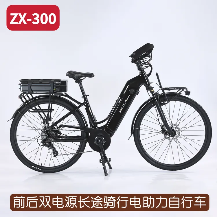 ZX300电助力自行车长途川藏骑行29寸铝合金车架后变速油碟刹车