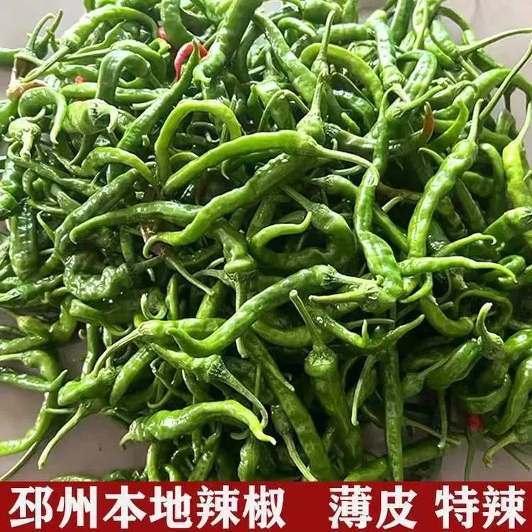 邳州本地勾椒新鲜薄皮农户自家种植露天辣椒下饭菜